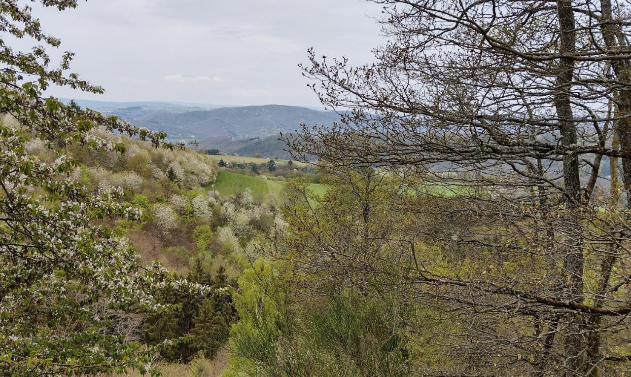 Ferienwohnungen Meindl Idar-Oberstein Bagian luar foto