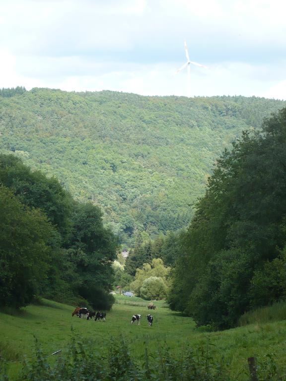 Ferienwohnungen Meindl Idar-Oberstein Ruang foto